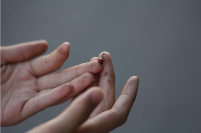 Safe and Effective Methods for Treating Common Warts